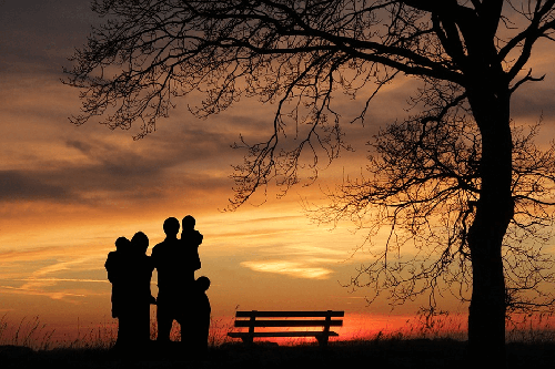 Family/Parenting Counselling Family/Parenting Counselling